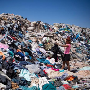 Fast Fashion and its Impact: A Brief History, Dark Side and Sustainable Alternatives Fast Fashion and its Impact: A Brief History, Dark Side and Sustainable Alternatives